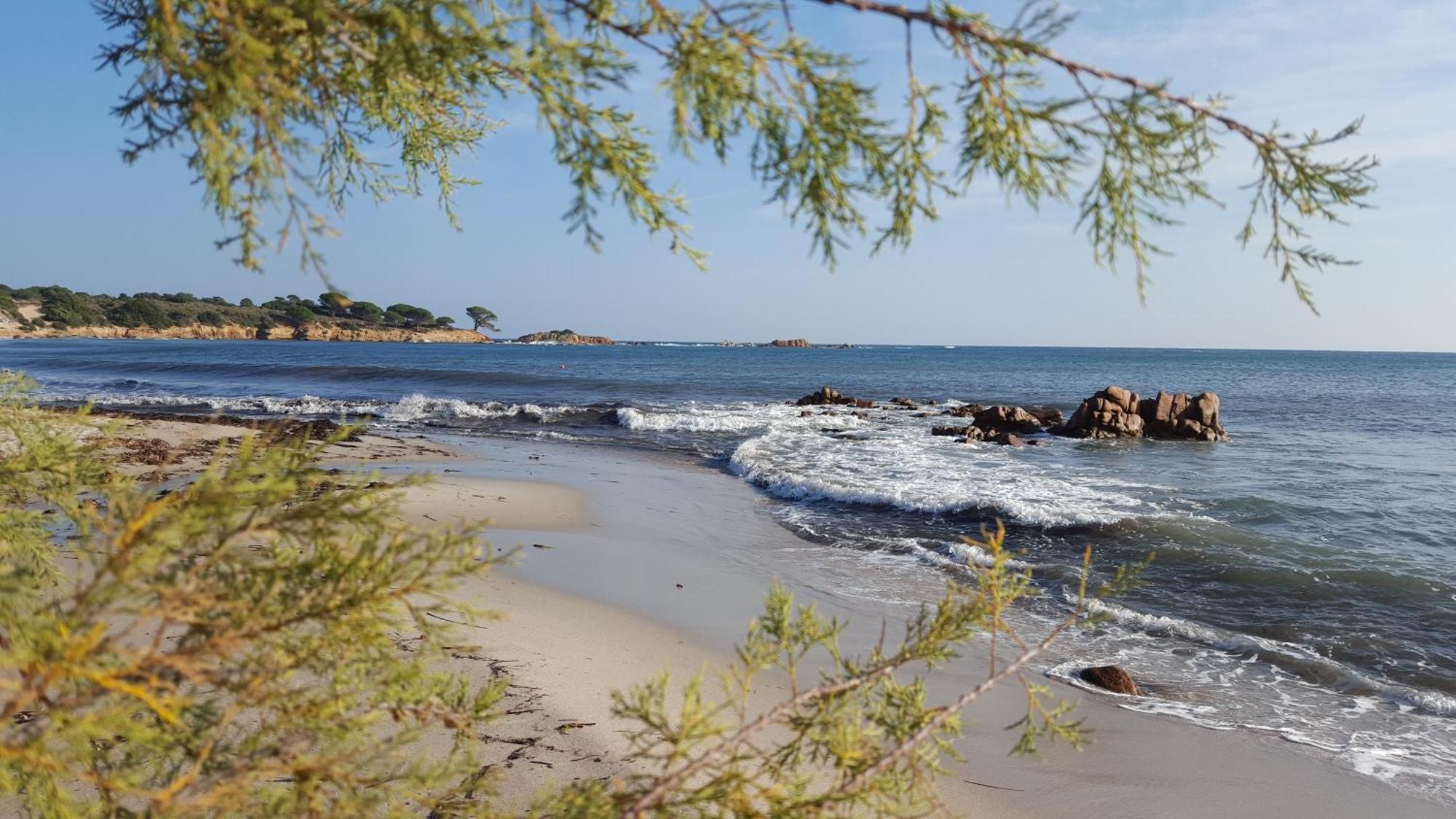 Locations Residence Rocca Rossa Palombaggia Classees 3 Etoiles Porto-Vecchio  Exteriör bild