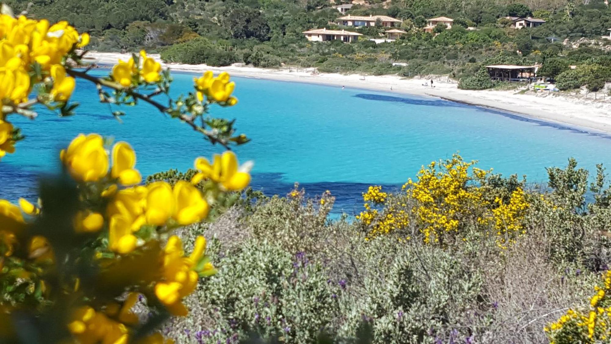 Locations Residence Rocca Rossa Palombaggia Classees 3 Etoiles Porto-Vecchio  Exteriör bild